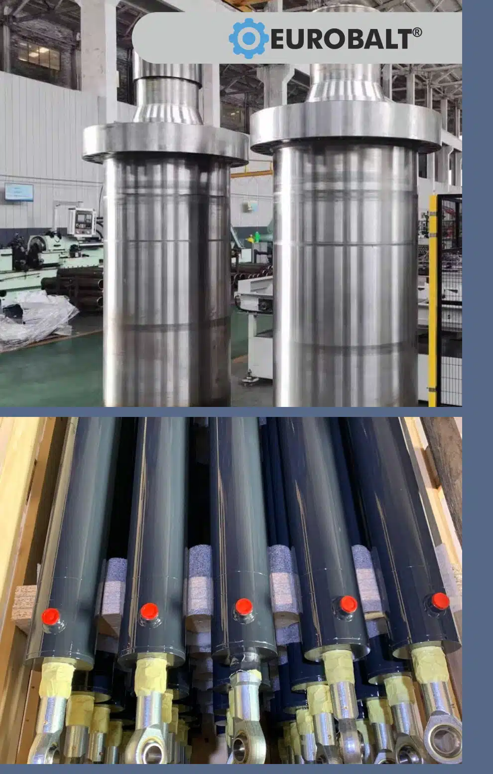 Cylinders Eurobalt Hydraulic cylinders